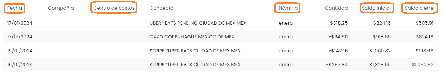 Captura de pantalla 2024-01-19 102716.png